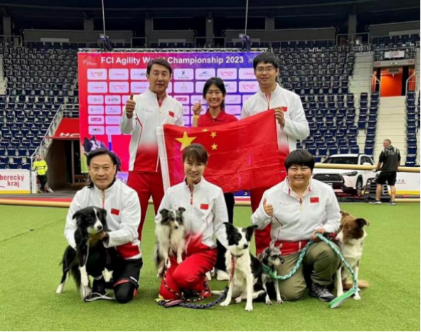 微信图片_20260130101937_1432_36.png 微信图片_20260130101937_1432_36.png