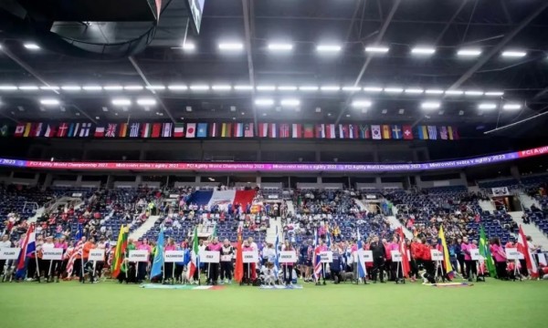 微信图片_20260130101942_1438_36.jpg 微信图片_20260130101942_1438_36.jpg