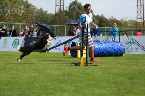 微信图片_20260130101944_1441_36.jpg 微信图片_20260130101944_1441_36.jpg