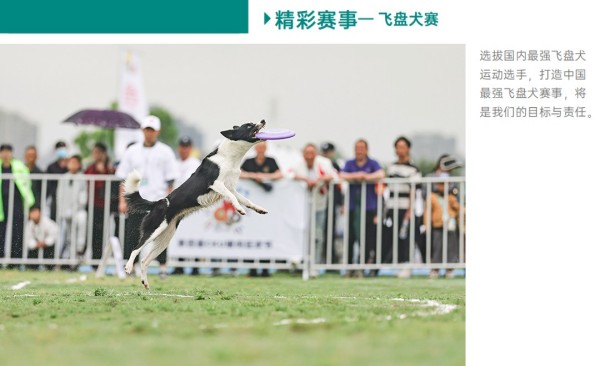 微信图片_20260203092958_1627_36.jpg 微信图片_20260203092958_1627_36.jpg