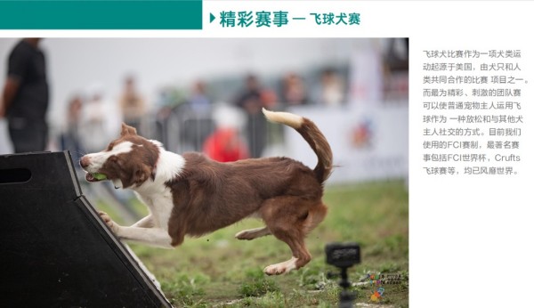 微信图片_20260203092959_1628_36.jpg 微信图片_20260203092959_1628_36.jpg