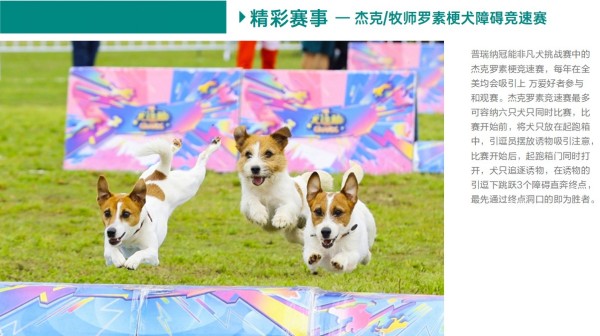 微信图片_20260203093000_1629_36.jpg 微信图片_20260203093000_1629_36.jpg