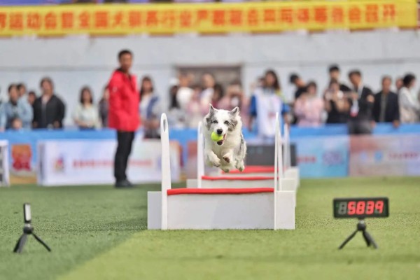 微信图片_20260203093000_1630_36.jpg 微信图片_20260203093000_1630_36.jpg