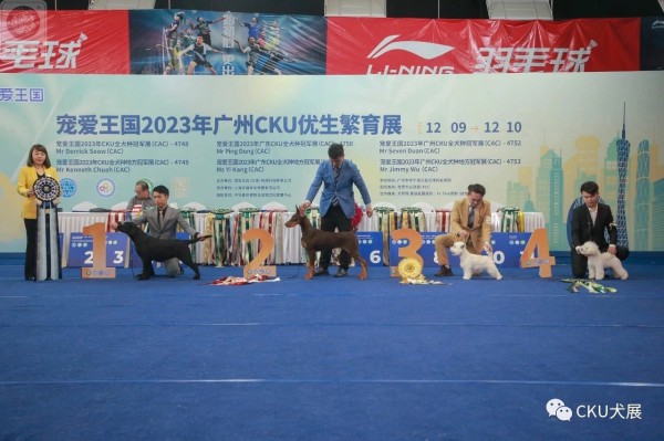 微信图片_20260203093002_1632_36.jpg 微信图片_20260203093002_1632_36.jpg