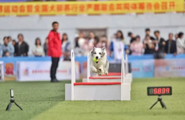 微信图片_20260203103917_1644_36.jpg 微信图片_20260203103917_1644_36.jpg