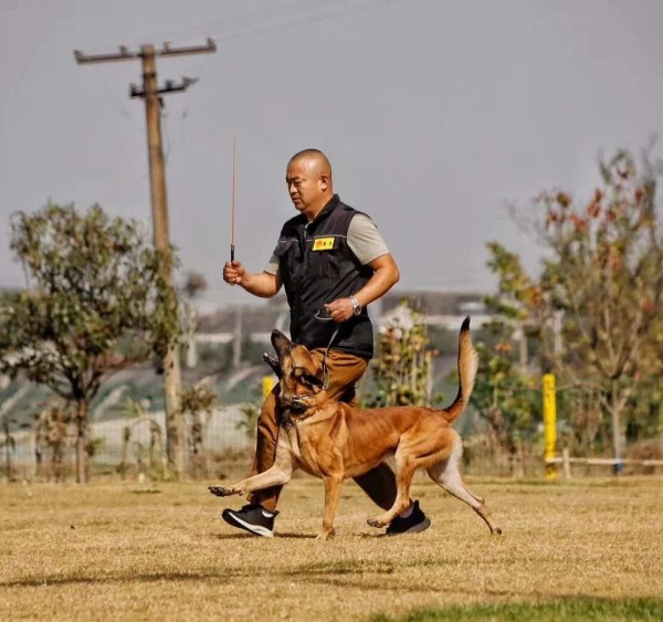 微信图片_20260203115001_1659_36.jpg 微信图片_20260203115001_1659_36.jpg