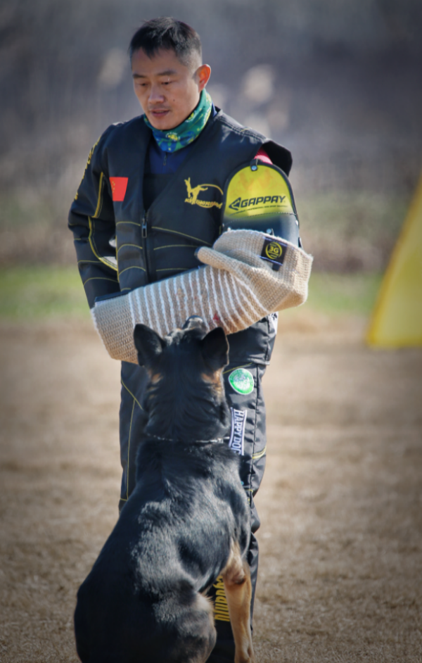 微信图片_20260203115003_1661_36.png 微信图片_20260203115003_1661_36.png