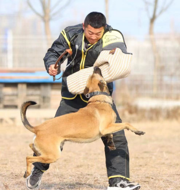 微信图片_20260203115003_1662_36.png 微信图片_20260203115003_1662_36.png