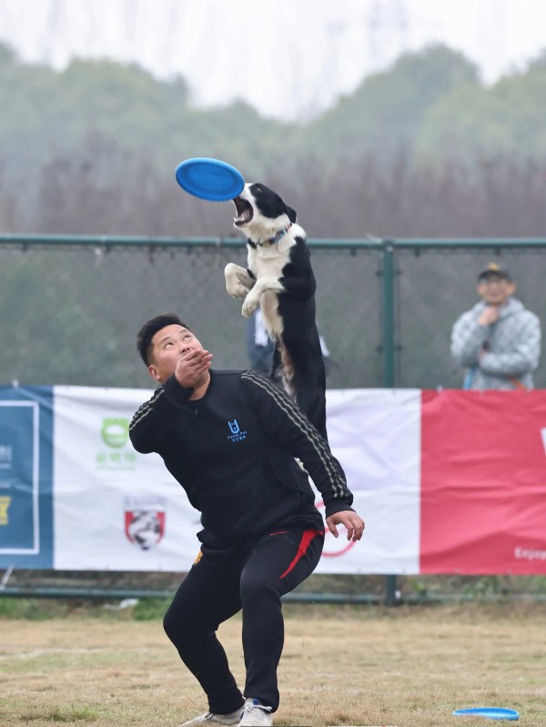 微信图片_20260203140243_1667_36.jpg