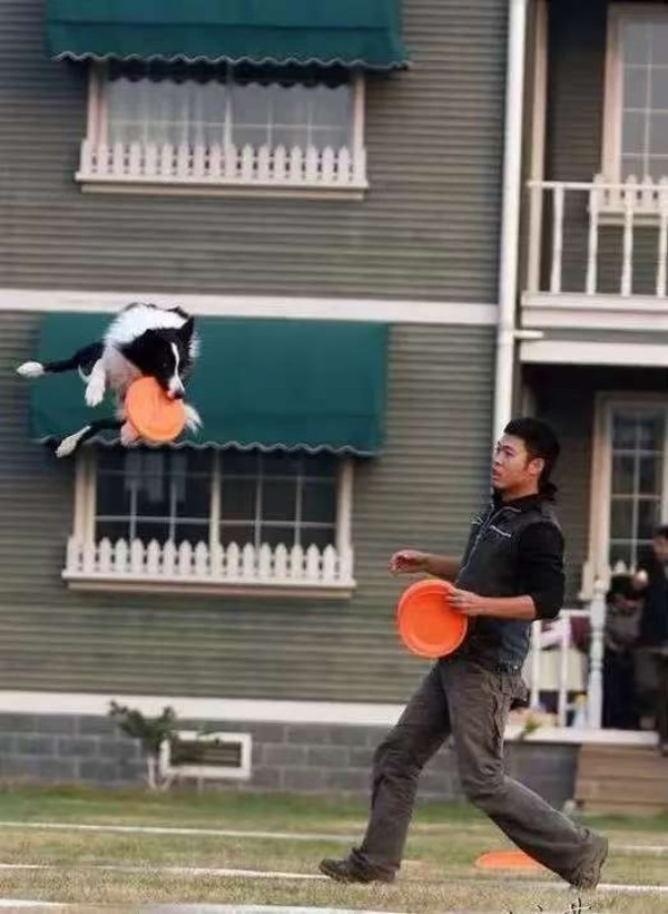 微信图片_20260203140244_1669_36.jpg