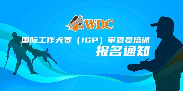 微信图片_20260206113649_1686_36.jpg 微信图片_20260206113649_1686_36.jpg