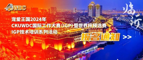 微信图片_20260206114618_1691_36.jpg 微信图片_20260206114618_1691_36.jpg