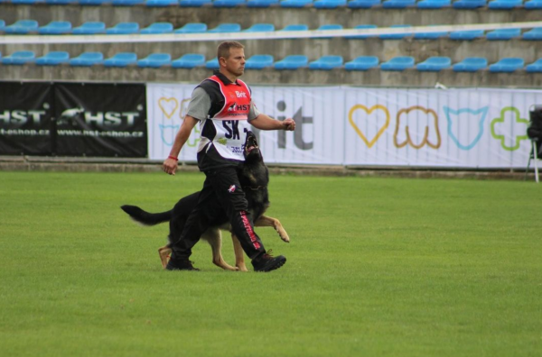 微信图片_20260206114622_1694_36.png 微信图片_20260206114622_1694_36.png