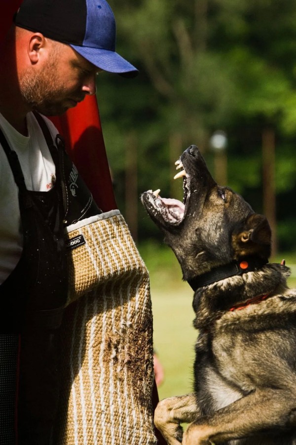 微信图片_20260206114625_1698_36.jpg 微信图片_20260206114625_1698_36.jpg