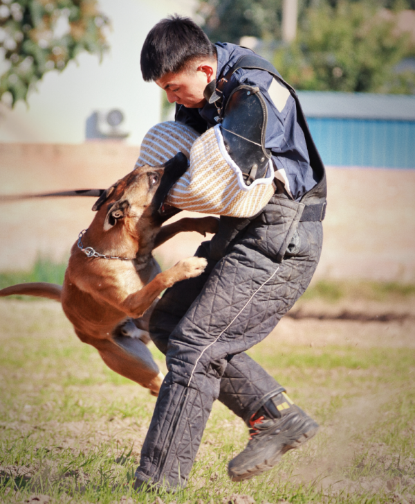 微信图片_20260206114626_1699_36.png 微信图片_20260206114626_1699_36.png