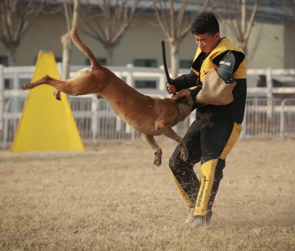 微信图片_20260206114627_1700_36.jpg 微信图片_20260206114627_1700_36.jpg