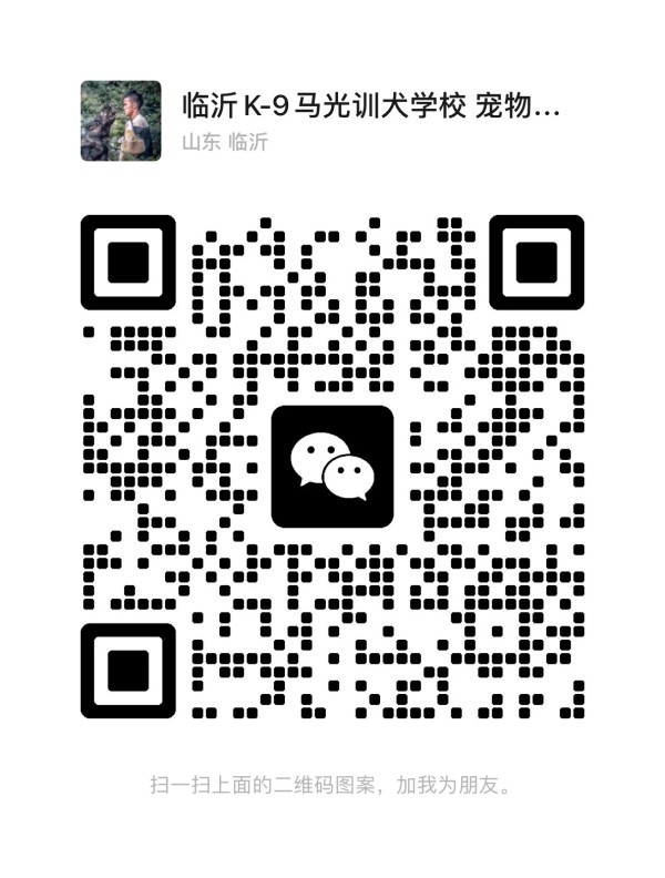 微信图片_20260206114631_1704_36.jpg 微信图片_20260206114631_1704_36.jpg