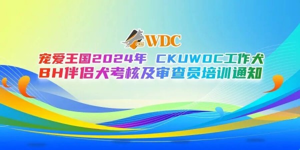 微信图片_20260206145752_1710_36.jpg 微信图片_20260206145752_1710_36.jpg