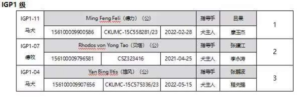 微信图片_20260304110346_1947_36.jpg 微信图片_20260304110346_1947_36.jpg