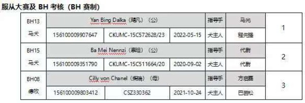 微信图片_20260304110350_1953_36.jpg 微信图片_20260304110350_1953_36.jpg