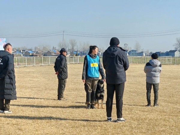 微信图片_20260304110401_1965_36.jpg 微信图片_20260304110401_1965_36.jpg