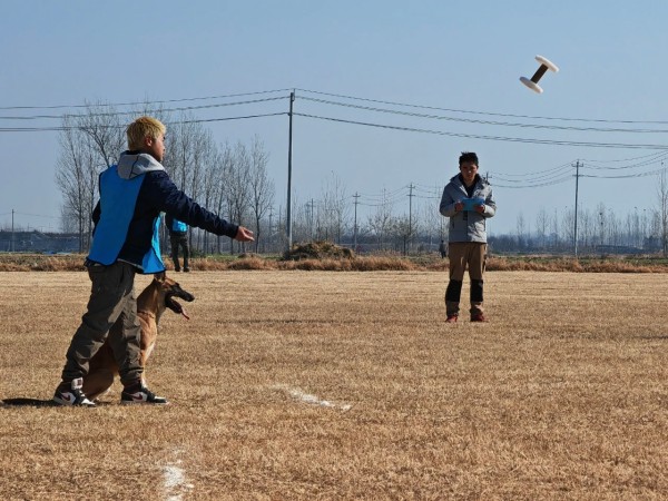 微信图片_20260304110402_1966_36.jpg 微信图片_20260304110402_1966_36.jpg