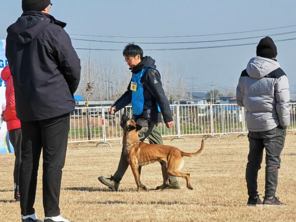 微信图片_20260304110403_1967_36.jpg 微信图片_20260304110403_1967_36.jpg