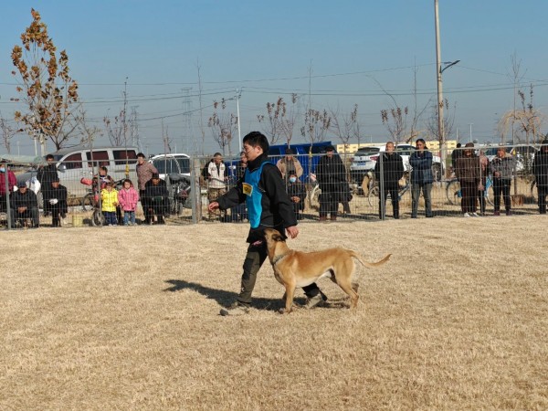 微信图片_20260304110404_1968_36.jpg 微信图片_20260304110404_1968_36.jpg