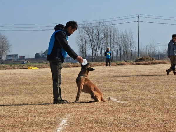 微信图片_20260304110405_1969_36.jpg 微信图片_20260304110405_1969_36.jpg