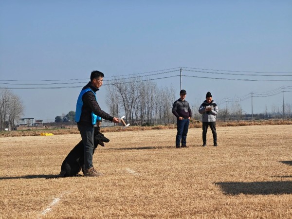 微信图片_20260304110407_1971_36.jpg 微信图片_20260304110407_1971_36.jpg