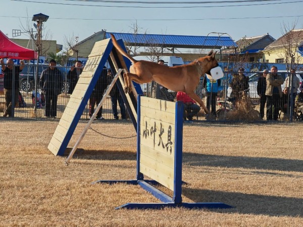 微信图片_20260304110409_1974_36.jpg 微信图片_20260304110409_1974_36.jpg