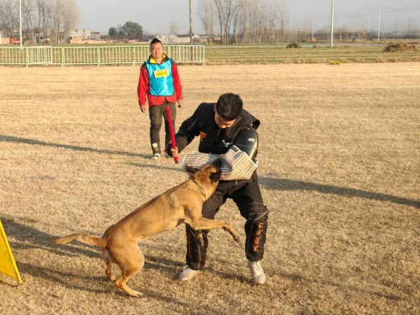 微信图片_20260304110410_1976_36.jpg 微信图片_20260304110410_1976_36.jpg