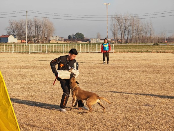 微信图片_20260304110411_1977_36.jpg 微信图片_20260304110411_1977_36.jpg