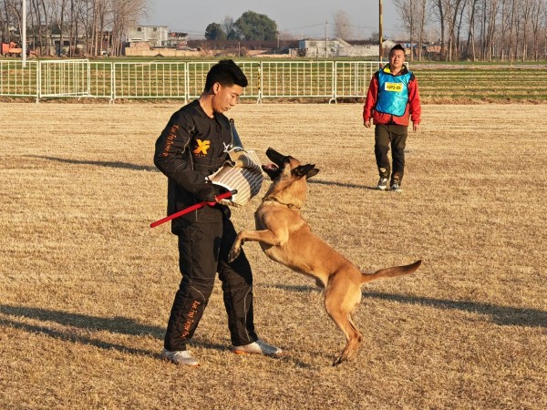 微信图片_20260304110412_1978_36.jpg 微信图片_20260304110412_1978_36.jpg