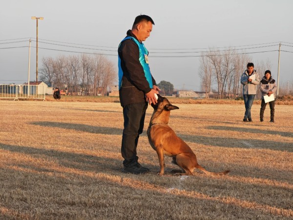 微信图片_20260304110414_1980_36.jpg 微信图片_20260304110414_1980_36.jpg