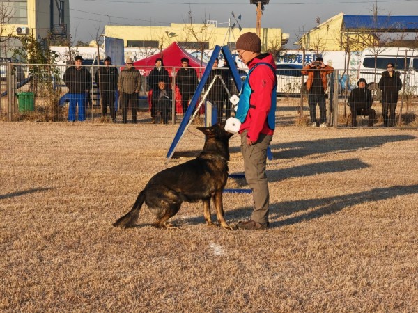 微信图片_20260304110415_1982_36.jpg 微信图片_20260304110415_1982_36.jpg