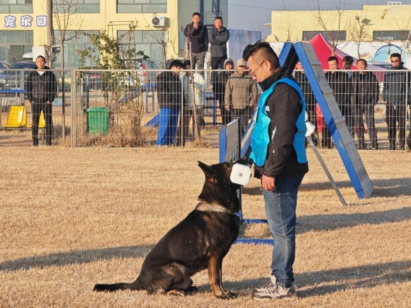 微信图片_20260304110416_1983_36.jpg 微信图片_20260304110416_1983_36.jpg