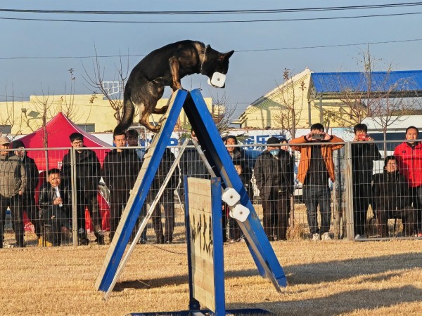 微信图片_20260304110417_1984_36.jpg 微信图片_20260304110417_1984_36.jpg