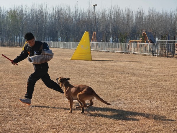 微信图片_20260304110418_1986_36.jpg 微信图片_20260304110418_1986_36.jpg