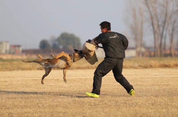 微信图片_20260304110425_1994_36.jpg 微信图片_20260304110425_1994_36.jpg