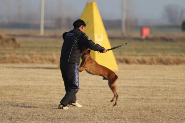 微信图片_20260304110426_1996_36.jpg 微信图片_20260304110426_1996_36.jpg