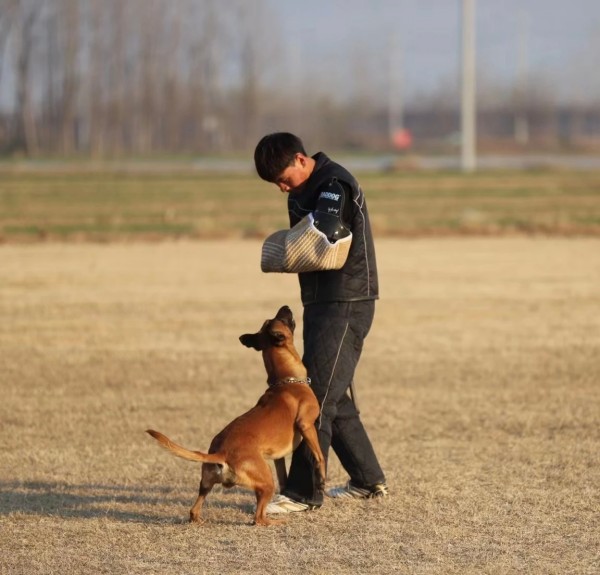 微信图片_20260304110427_1997_36.jpg 微信图片_20260304110427_1997_36.jpg