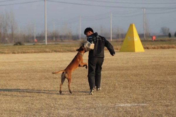 微信图片_20260304110428_1998_36.jpg 微信图片_20260304110428_1998_36.jpg