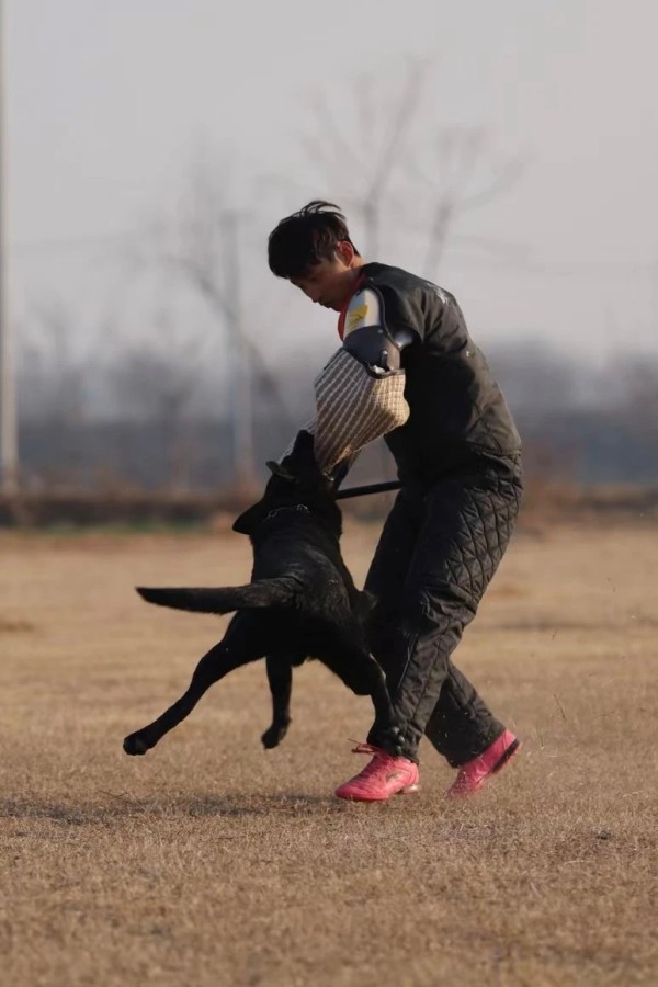 微信图片_20260304110428_1999_36.jpg 微信图片_20260304110428_1999_36.jpg