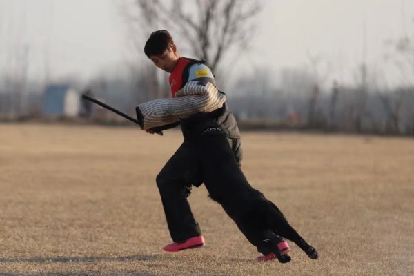 微信图片_20260304110429_2000_36.jpg 微信图片_20260304110429_2000_36.jpg