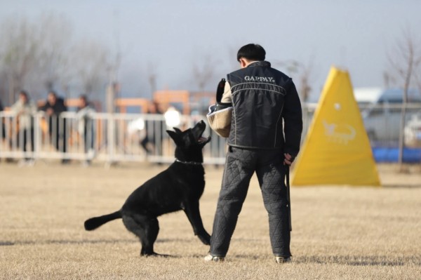 微信图片_20260304110430_2001_36.jpg 微信图片_20260304110430_2001_36.jpg