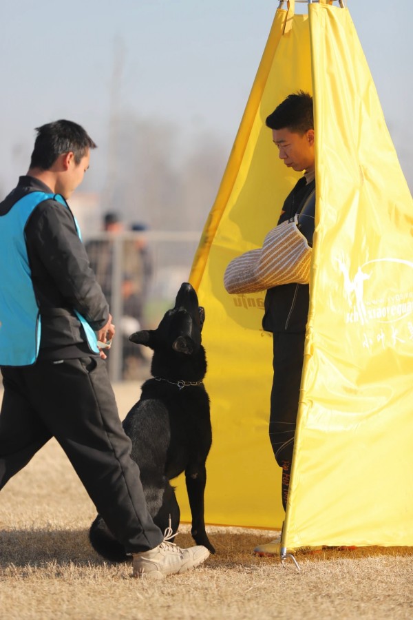 微信图片_20260304110431_2003_36.jpg 微信图片_20260304110431_2003_36.jpg