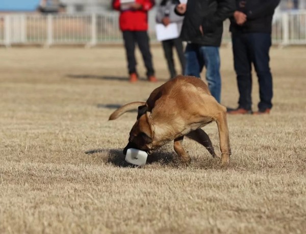 微信图片_20260304110434_2007_36.jpg 微信图片_20260304110434_2007_36.jpg