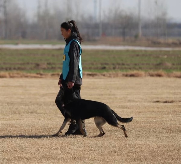 微信图片_20260304110436_2010_36.jpg 微信图片_20260304110436_2010_36.jpg