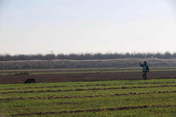 微信图片_20260304110446_2014_36.jpg 微信图片_20260304110446_2014_36.jpg